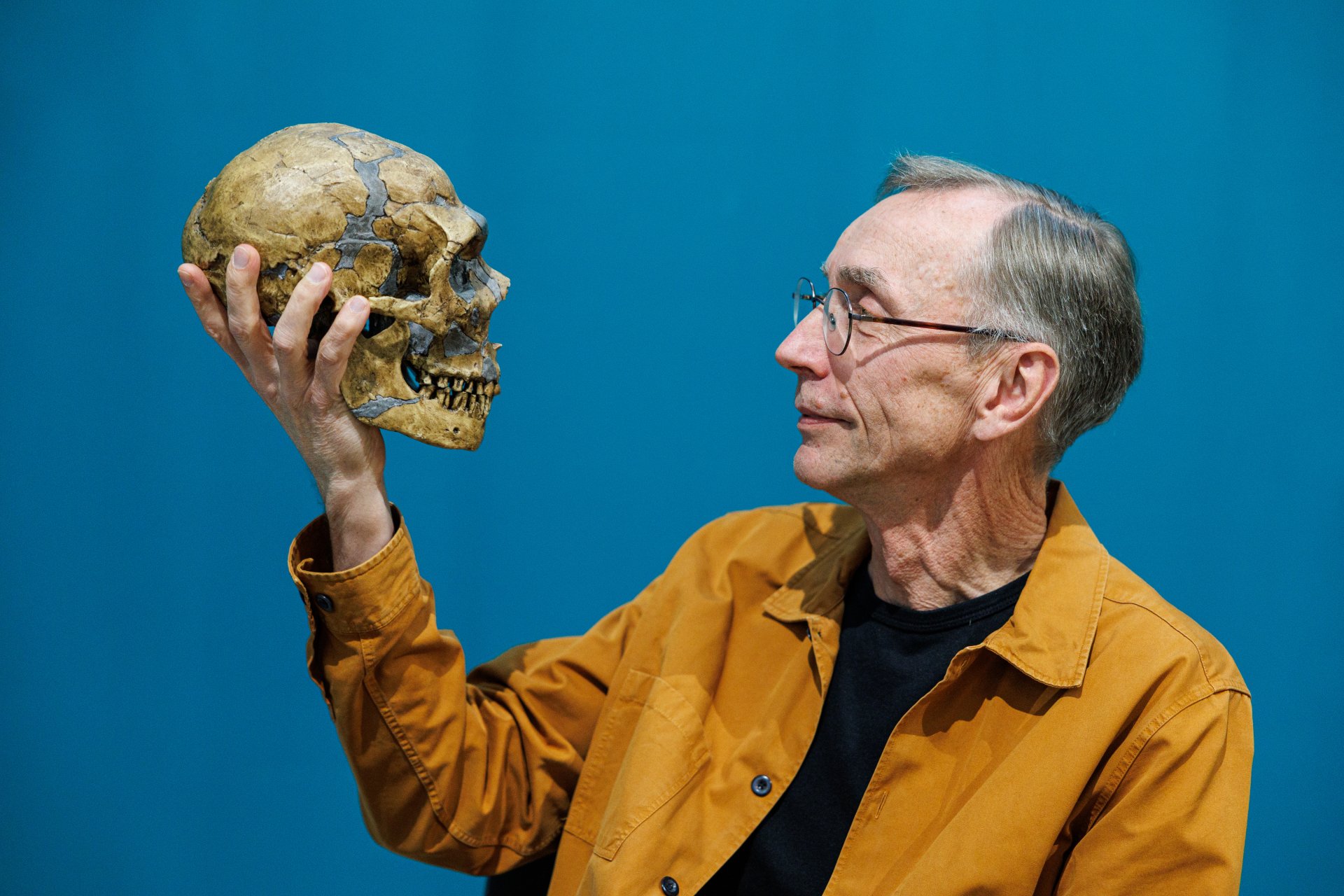 Сванте Паабо, директор на Института за еволюционна антропология "Макс Планк", със скелет на неандерталец след пресконференция, след като спечели Нобеловата награда за физиология и медицина 