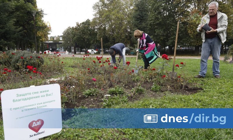 В знак на почит и благодарност към донорите и техните