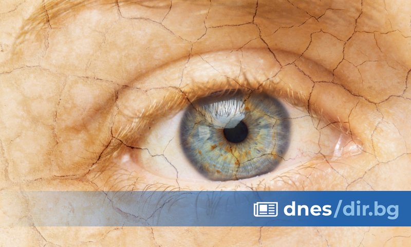 Какво е здраве? Здравето е да възприемаш живота около теб,