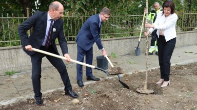 60 дървета бяха засадени на улица Кашана в Златица в