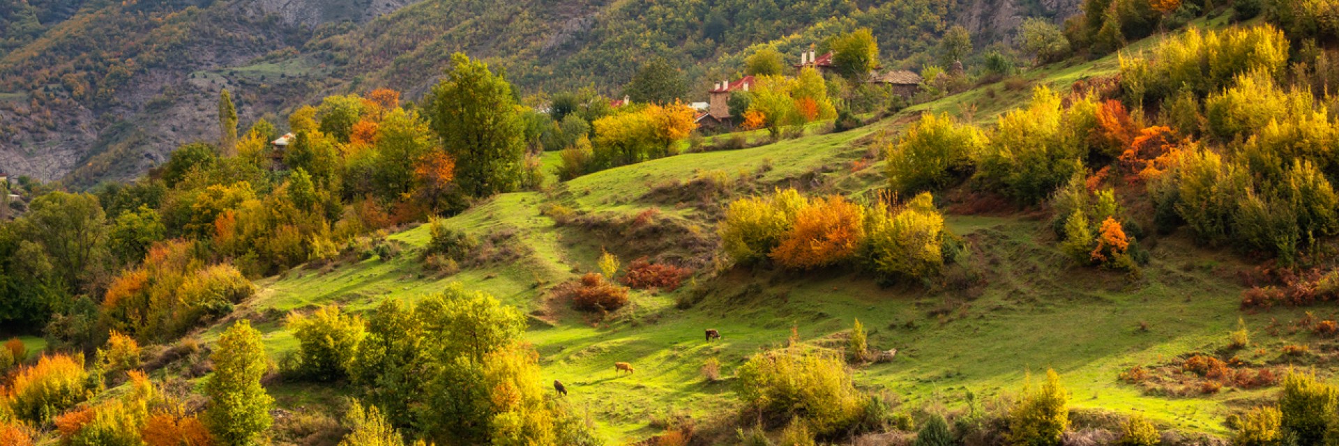 България ще бъде обявена за предпочитана дестинация през 2024 г.