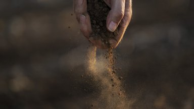 Нов пирон в ковчега: да сееш пшеница в прах