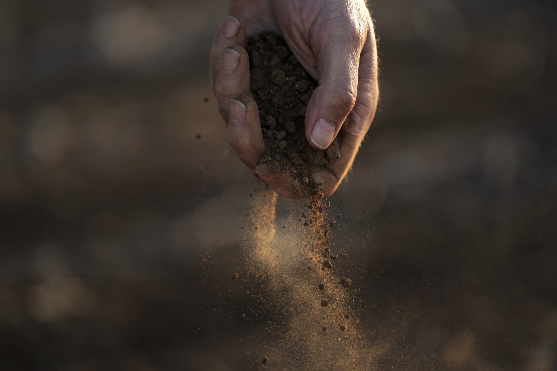Фермер изпуска от шепата си прашна почва от реколта памук, която е засял с пшеница в Крес, Тексас