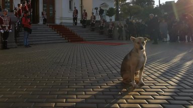 След като и днешният ден се оказа напълно безуспешен за