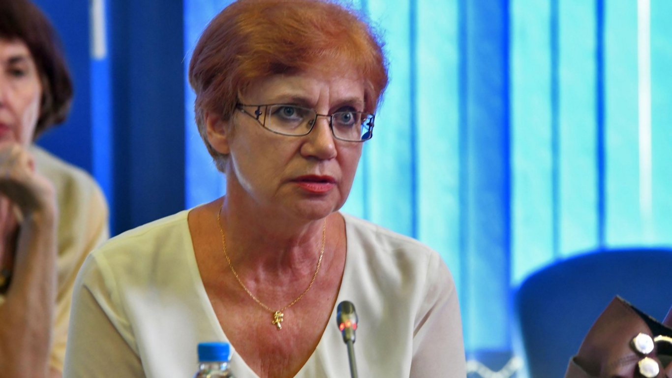 Виолета Комитова: Няма как да се повишат доходите и социалните плащания без увеличаване на данъците