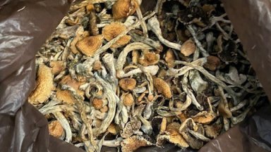 Двама мъже на 20 и 23 години са задържани при