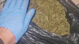Откриха половин килограм марихуана в колата на полицайка в Разлог 