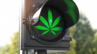 Германското правителство проправи днес път за легализиране канабиса но въпреки