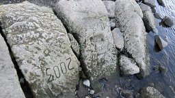 Ексминистър: 500 000 души ще са на воден режим тази година, ще трябва да обезсоляваме морска