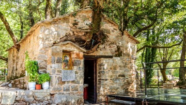 Върху малък параклис в Гърция растат 17 дървета, но корените им не се виждат никъде