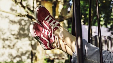 Vans едва ли има човек който да не е