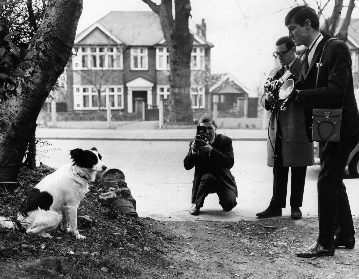 Кучето Пикълс е един от големите герои на Мондиал 1966. То намира купата, открадната и скрита по време на турнира