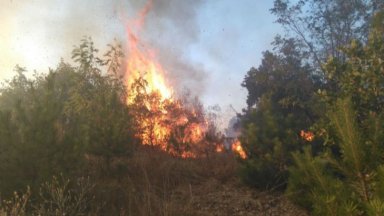 Не е овладян пожарът на полигона Ново село край Сливен