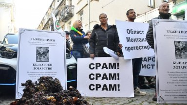 "Тъжен помен за българското лозарство": Протестиращи изсипаха изсъхнало грозде пред земеделското министерство (снимки)