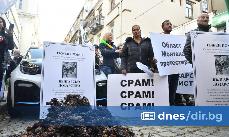 Десетки лозарите от страната излязоха на протест пред Министерство на