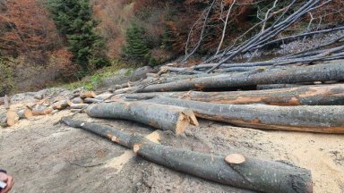 Върховна административна прокуратура ВАП се е самосезирала и образувала преписка