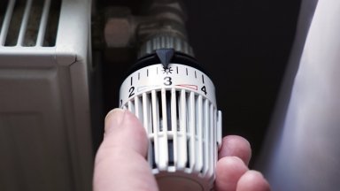 Причината е необичайното и рязко затопляне на времето и запазването