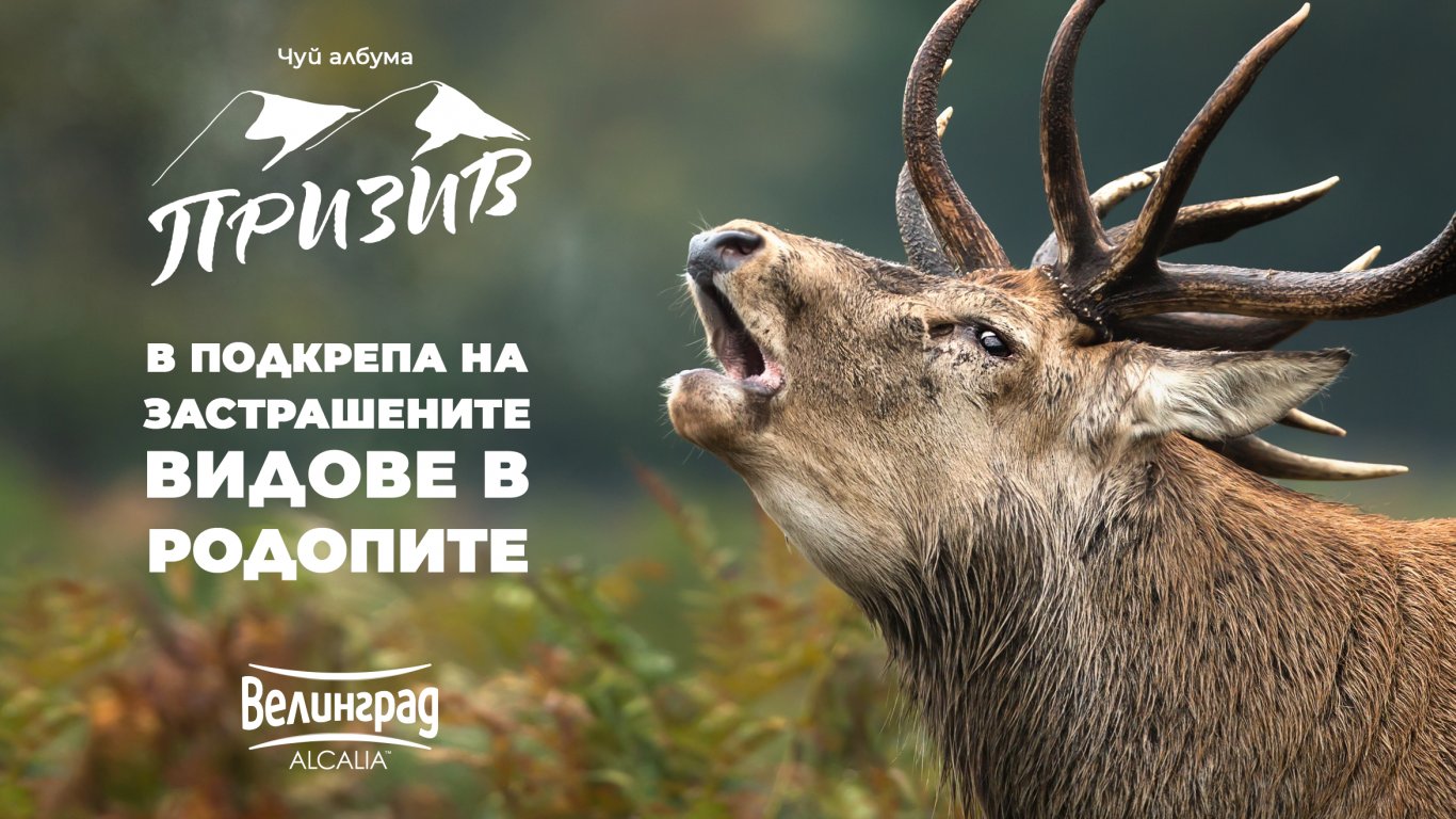 Кампанията в защита на застрашените видове в Родопите -  “Призив” успешно достигна първия си етап на дарение към фондация “По-диви Родопи” 