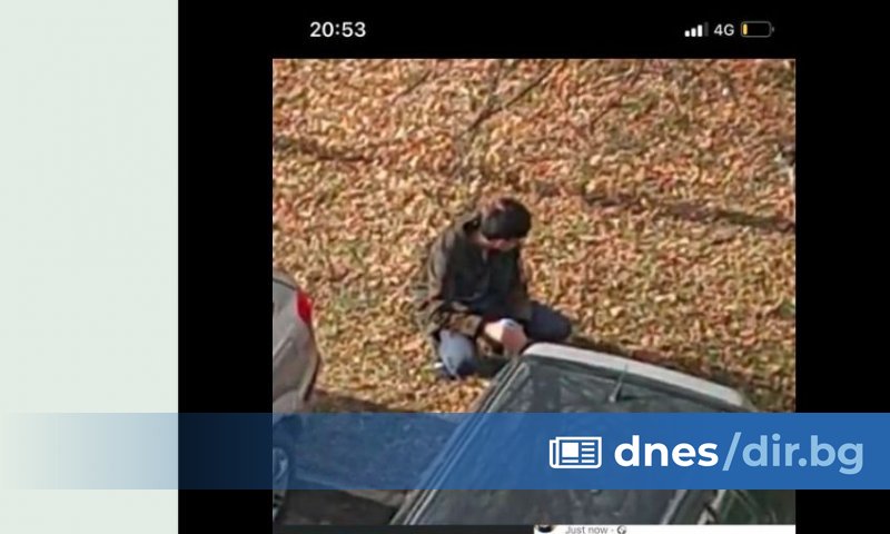 В групата Снимай Перник, нека всички видят! тази вечер са