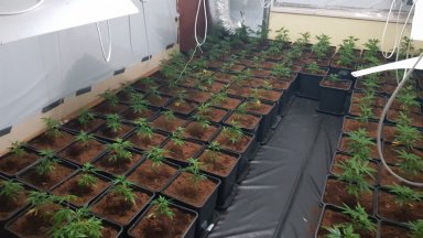 При мащабна специализирана операция на сектор Борба с организираната престъпност