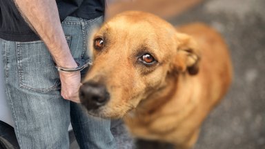 Служители на столичното Шесто РУ установиха и задържаха мъж проявил