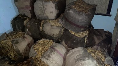 Работилница за контрабанден тютюн бе разбита от служители на пловдивската