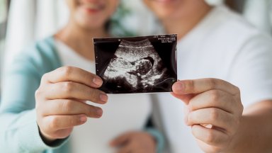 От 8 декември ще бъдат организирани 100 безплатни прегледа и консултации