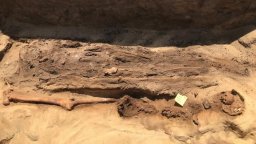 Откриха мумии със златни езици в некропол в делтата на Нил