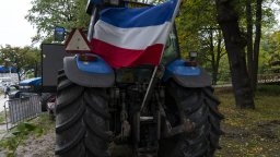 Нидерландия ще изкупува ферми, за да намали емисиите на амоняк