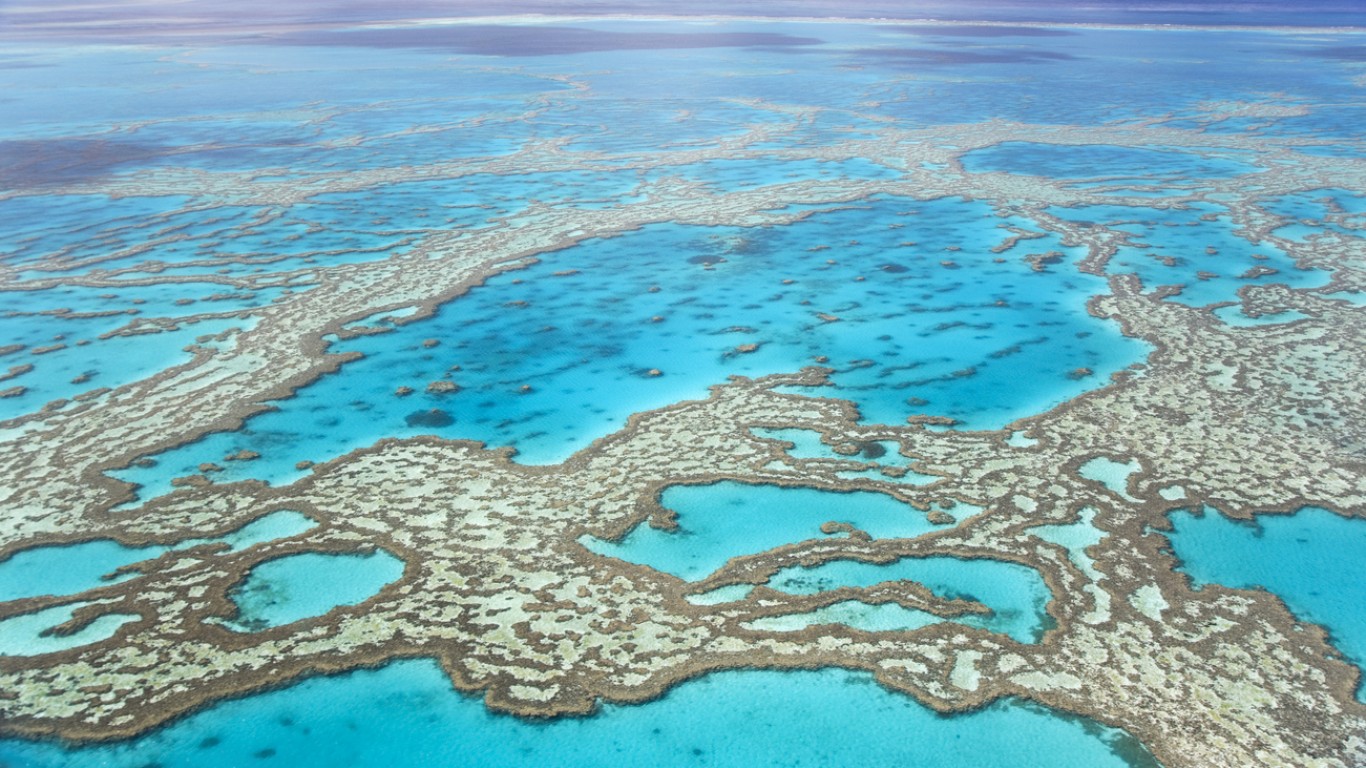 Големият бариерен риф може да бъде включен в списъка на застрашеното световно наследство