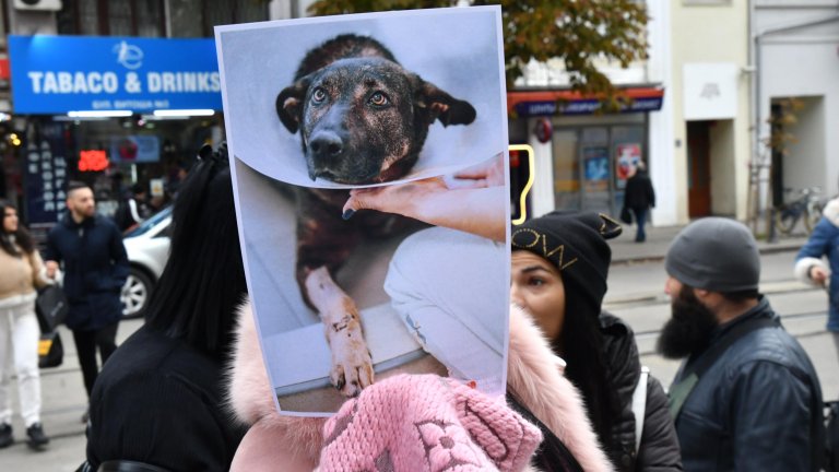 Протести в цялата страна в неделя, искат тежки присъди за насилниците на животни като Шулев 