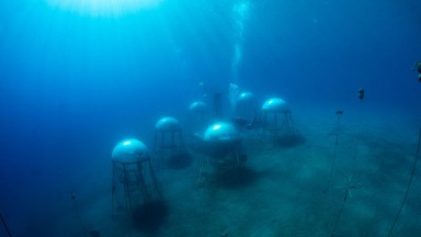 "Градината на Немо"- подводната оранжерия, която може да спаси света (снимки)