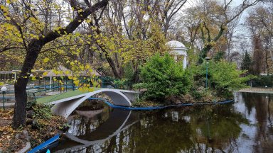 Премахват 15-метрово дърво в лошо състояние в Морската градина