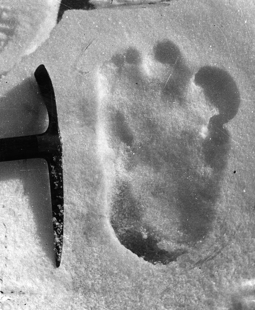 33 -сантиметровият отпечатък от крак на хуманоид в снега на ледника Менлунг