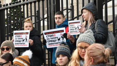 Пореден протест срещу насилието над животни и в защита на