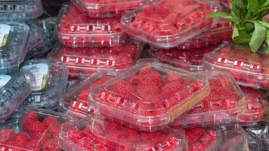 Изтеглиха хиляди кутии с малини, заразени с хепатит от американския пазар
