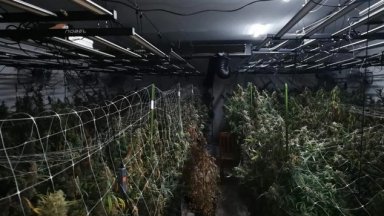 В рамките на стартиралата операция с кодовото име Бяло тази