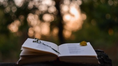 10 въздействащи книги с поезия