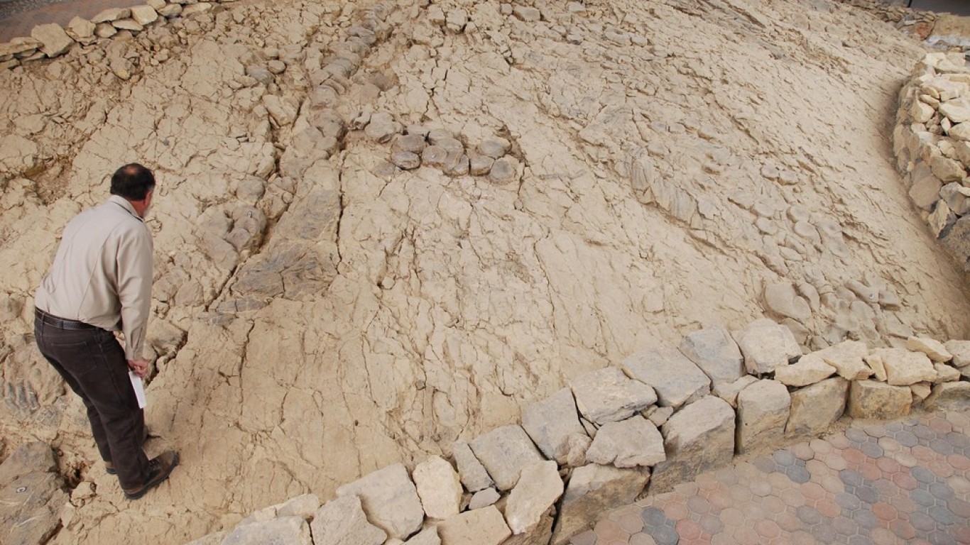 Учени разкриха тайната на мистериозен обект с вкаменелости в Невада