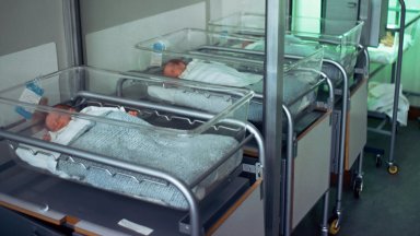 За първи път от 10 години броят на новородените падна под 50 000