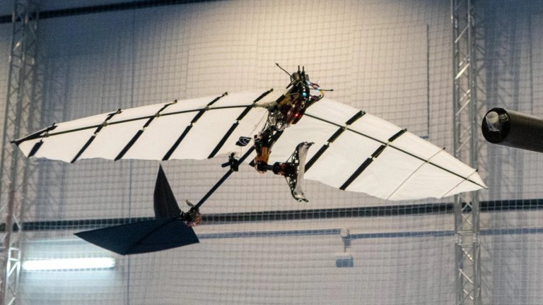 Учени създадоха дрон-птица за наблюдение на природата