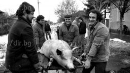 1989 г. : "Убиванье" на прасе в селото, където е заснет "Тримата от запаса"