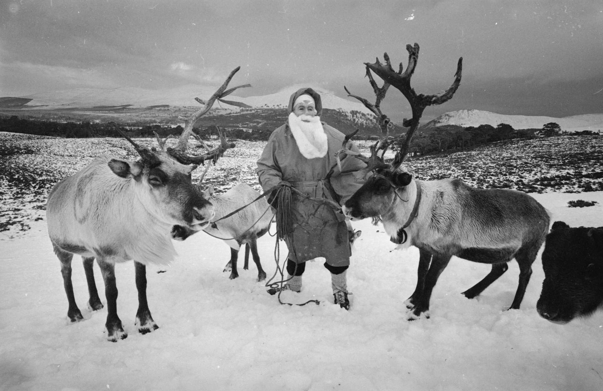 23rd December 1966: Mikel Utsi of Lapland dressed as Santa Claus and with the reindeer and sleigh that he uses to deliver presents to children in Aviemore, Scotland. (Photo by Express/Express/Getty Images)