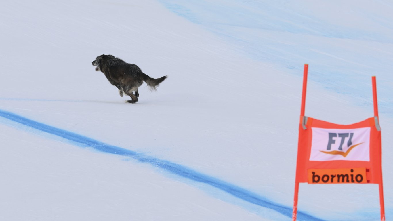 Неуловимо куче засенчи всички скиори на Световната купа (видео)