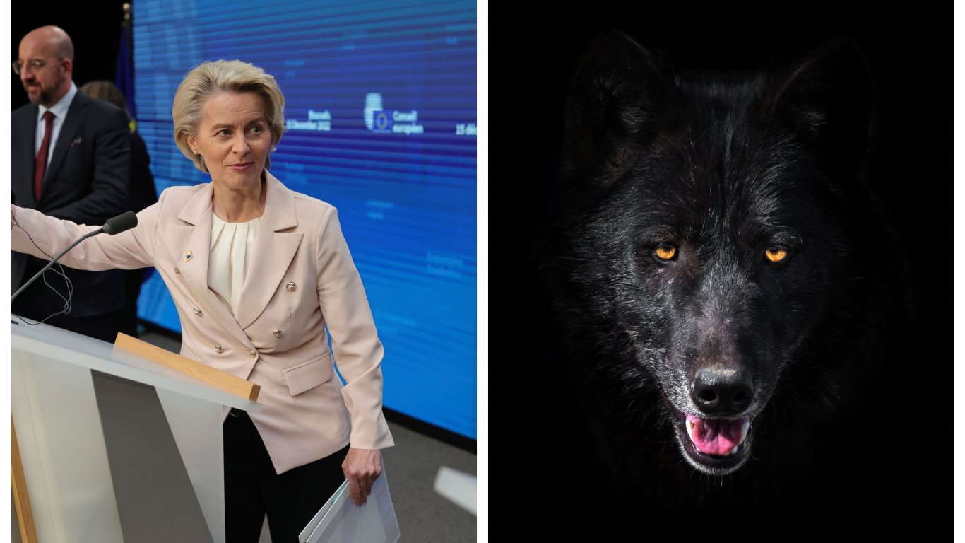 „Политико“: Урсула се изправя срещу Големия лош вълк