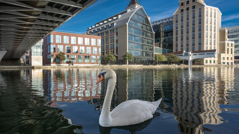 Френски град променя името си от мъжки в женски род, за да подчертае равенството между половете