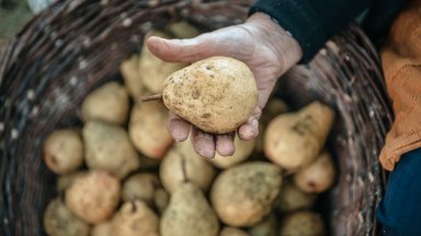 Комична случка с трагичен резултат на пазара в град Дулово