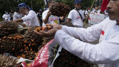 Индонезия и Малайзия започват битка в защита на палмовото масло 