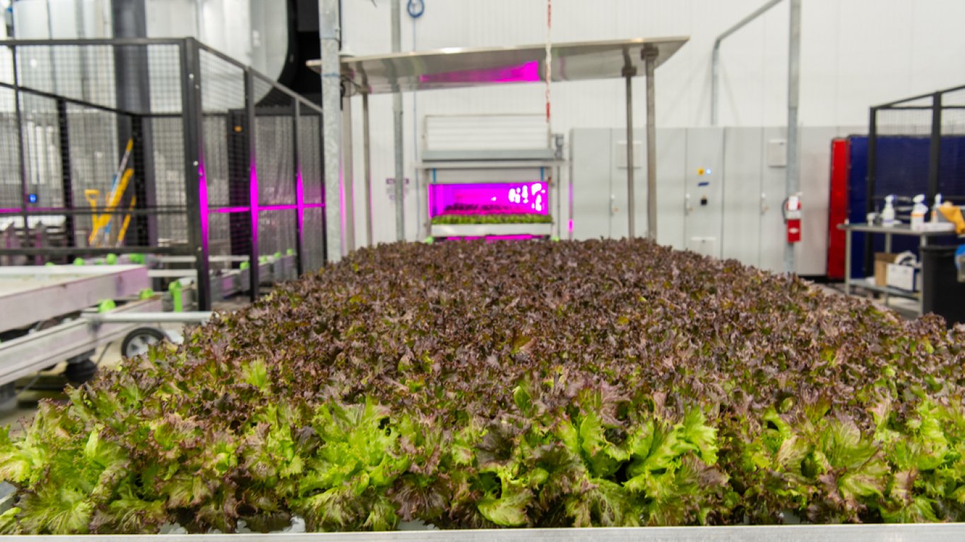 Siemens и американската 80 Acres Farms ще създават следващо поколение храни