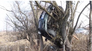 БМВ кацна върху дърво край Банско, шофьорът оживя по чудо (видео)
